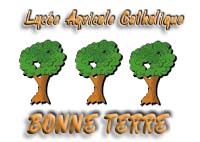 Site du Lycée Bonne Terre